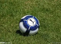 开云平台,资讯,开云体育,开云体育,开云体育官网,开云体育app,开云体育平台,KAIYUN,SPORTS,kaiyun登录入口