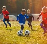 世界杯射手,开云平台,开云体育,开云体育,开云体育官网,开云体育app,开云体育平台,KAIYUN,SPORTS,kaiyun登录入口