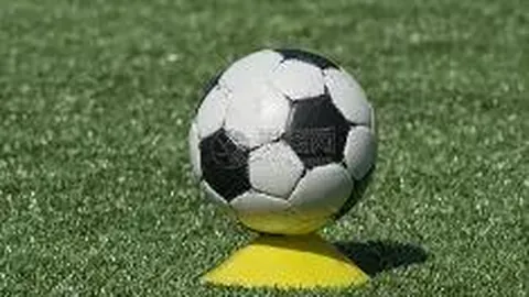 黄河体育中心游泳馆及全民健身中心主体结构全面完工