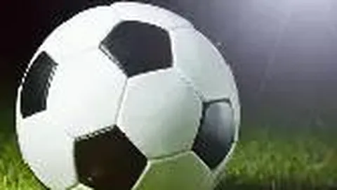 开云平台 产品 140002 grw