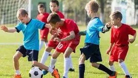 开云平台 产品 141554 mkc