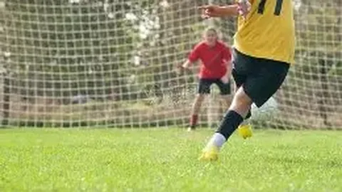 开云平台 资讯 141551 4z4