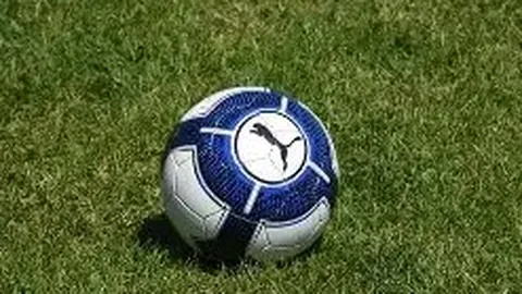 开云平台 资讯 135948 ppe