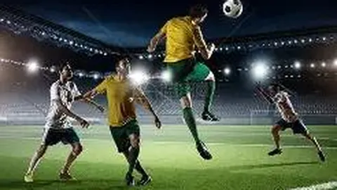 开云平台 资讯 140110 7sj