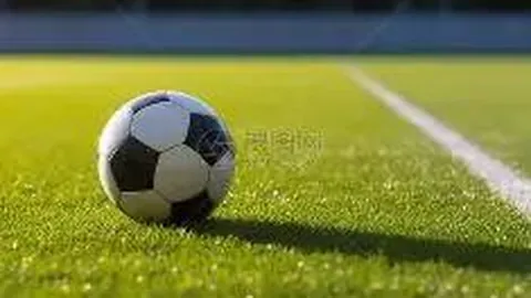 开云平台 资讯 140626 y2o