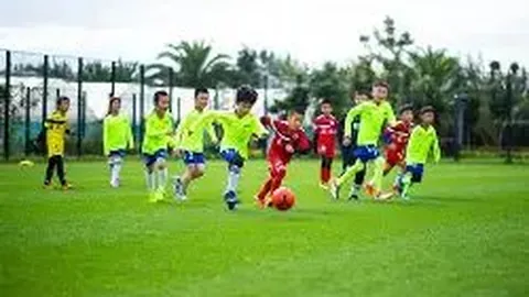 开云平台 产品 105831 e02