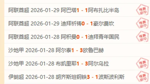 德國足球新舵手纳格尔斯曼扬帆起航，备战2025欧洲杯新征程