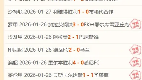 索尔纳主场胜率预测及专家质合分析