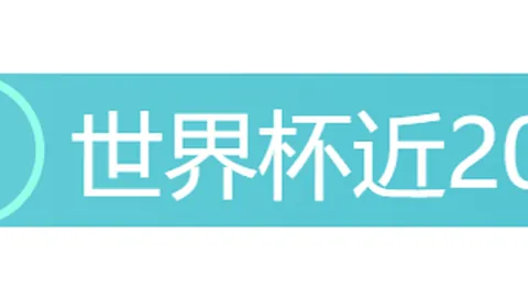 开云平台 124304